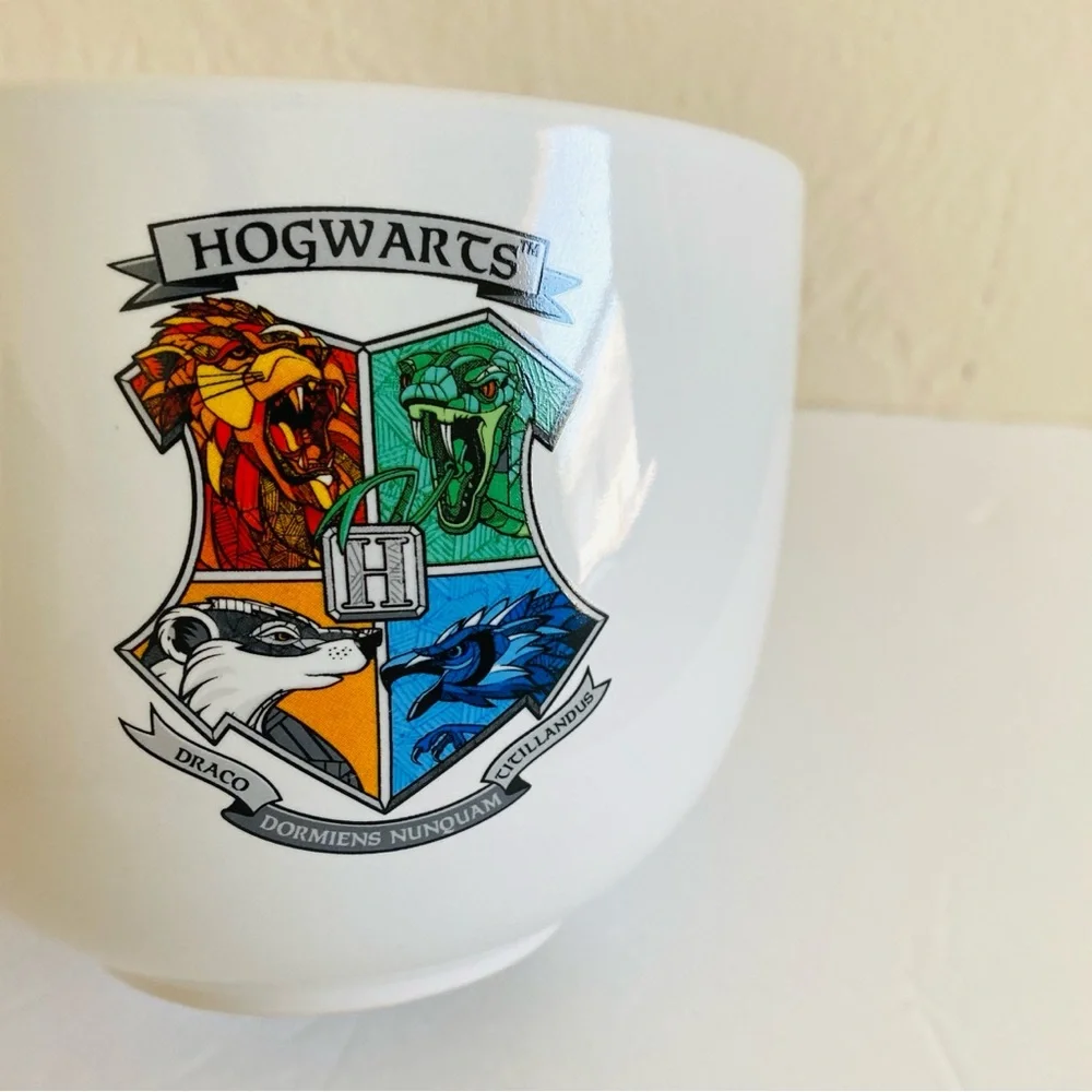 Harry Potter Hogwarts 20 oz Ceramic Ramen Bowl Dark Academia Fantasy Magical